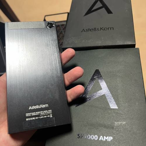 AK SP1000 + Amp