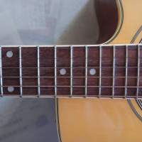 hofner guitar