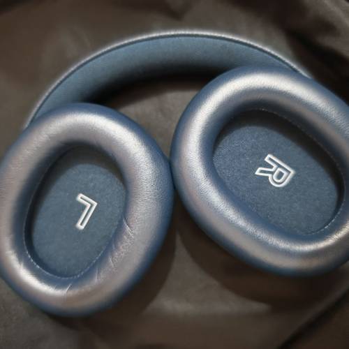 B&O Beoplay H95