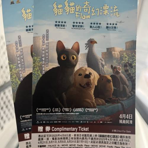 天竺鼠車車電影 換票證 貓貓的奇幻漂流 狗狗打官司 天竺鼠車車