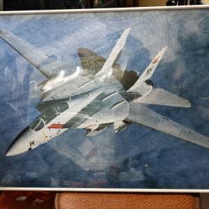 Topgun puzzle