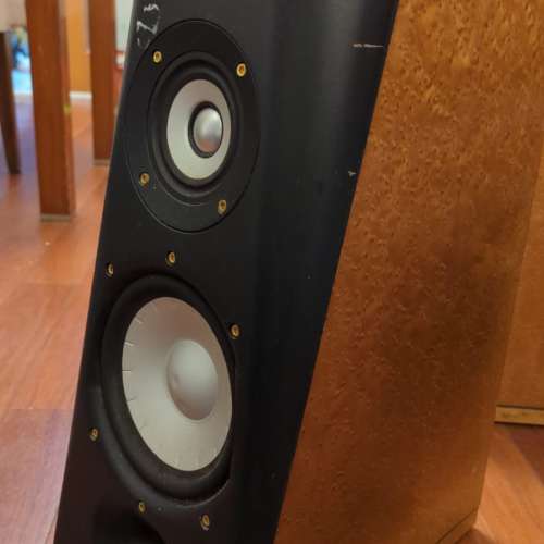 Thiel Speaker