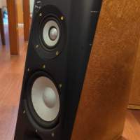 Thiel Speaker