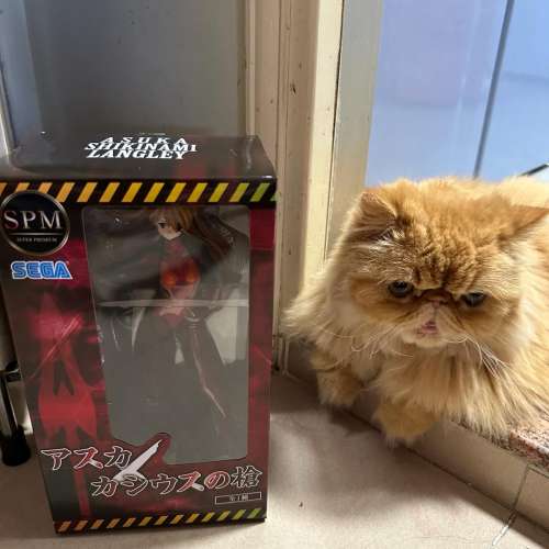 アスカ カシウスの槍