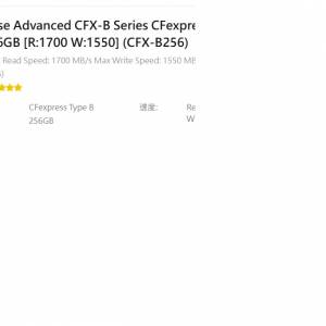 Wise Advanced CFX-B Series CFexpress Type B 記憶卡 256GB