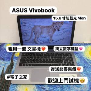 (復活節優惠💗華碩文書機) ASUS Vivobook i5-8250/4,8,12 GB Ram /320,500,750GB H...