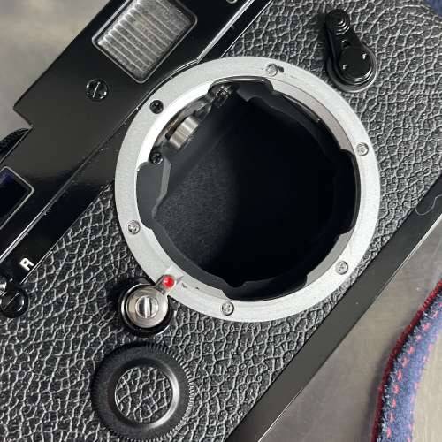 Leica MP 0.72 BP 茘枝皮