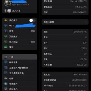 iPad Mini 6 WiFi + cellular 256gb space Gray