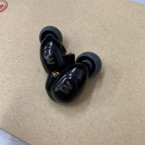 Westone W40