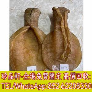 【珍品軒】全港高價收購花膠 蜘蛛膠 鰵魚膠 赤嘴膠 白花膠 房膠 石肚 厚肚 紅雞 赤...