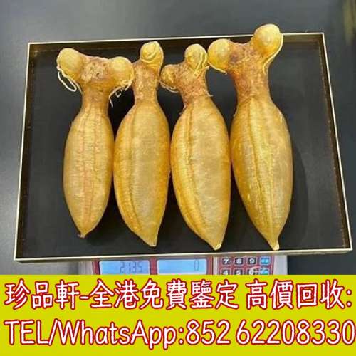 【珍品軒】全港專業收購 花膠 老花膠 陳年花膠 赤嘴膠 鰵魚膠 房膠 蜘蛛膠 白花膠 海...