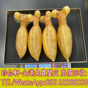 【珍品軒】全港專業收購 花膠 老花膠 陳年花膠 赤嘴膠 鰵魚膠 房膠 蜘蛛膠 白花膠 海...