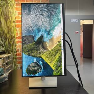 [旋轉升降] Dell 23.8" [1080P] IPS 顯示器 (P2422H) Mon Monitor Screen