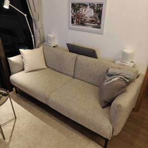 Ikea APPLARYD 兩座位梳化，淺灰色 ｜ ÄPPLARYD