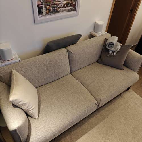 Ikea APPLARYD 兩座位梳化，淺灰色 ｜ ÄPPLARYD