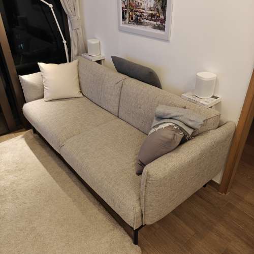 Ikea APPLARYD 兩座位梳化，淺灰色 ｜ ÄPPLARYD