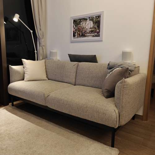 Ikea APPLARYD 兩座位梳化，淺灰色 ｜ ÄPPLARYD