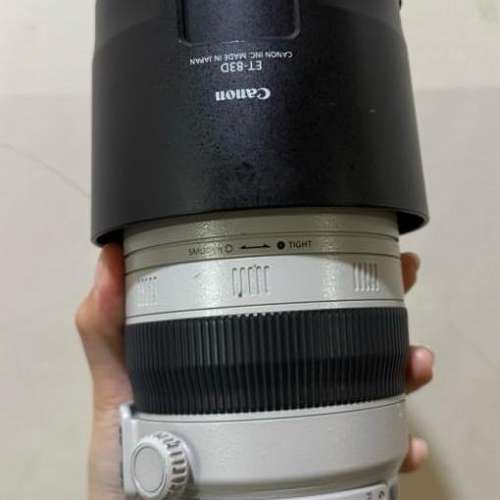 Canon EF 100-400mm f/4.5-5.6L IS II USM 大白2代