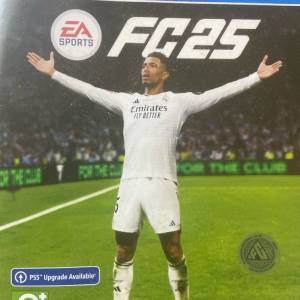 PS4 Game FC 25