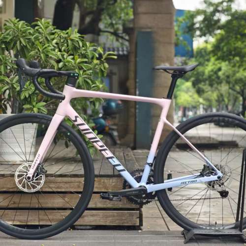 2025 SUNPEED ASTRO 阿童木 20速 油剎桶軸碳前叉鋁合金公路車 送水架前後蛙燈