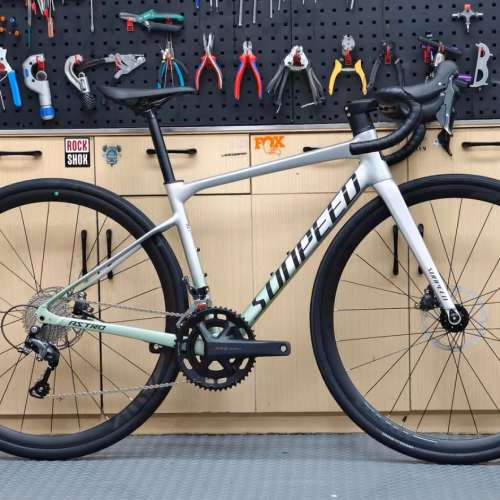 2025 SUNPEED ASTRO 阿童木 20速 油剎桶軸碳前叉鋁合金公路車 送水架前後蛙燈