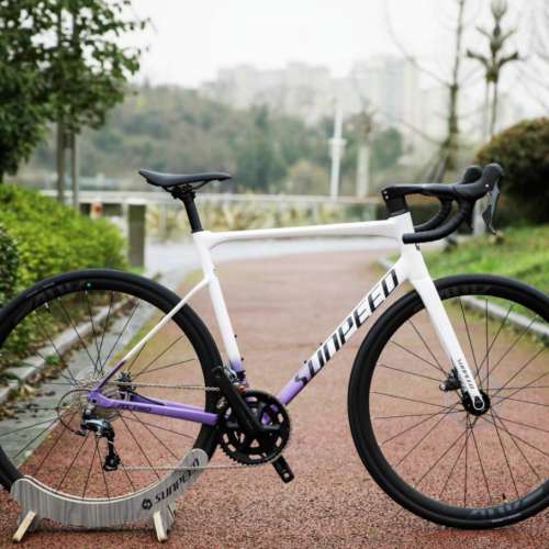 2025 SUNPEED ASTRO 阿童木 20速 油剎桶軸碳前叉鋁合金公路車 送水架前後蛙燈