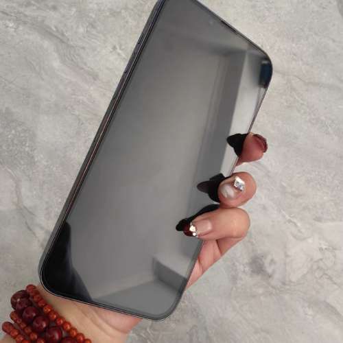 iPhone 13 Pro Max 1TB，健康度95%，使用流暢。