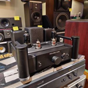 Weiliang Audio E400