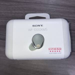 Sony WF-1000XM5