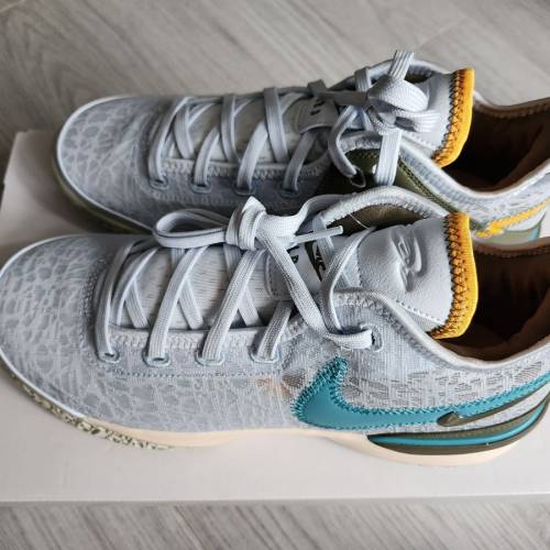 Nike Lebron Nxxt Gen EP