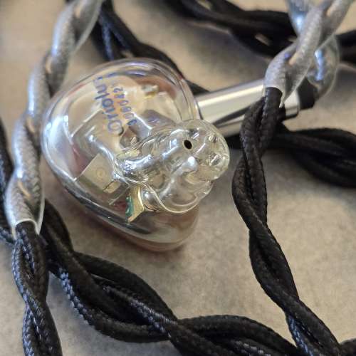 Oriolus traillii 老人家朱鸝可交換 Aroma Jewel