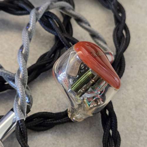 Oriolus traillii 老人家朱鸝可交換 Aroma Jewel