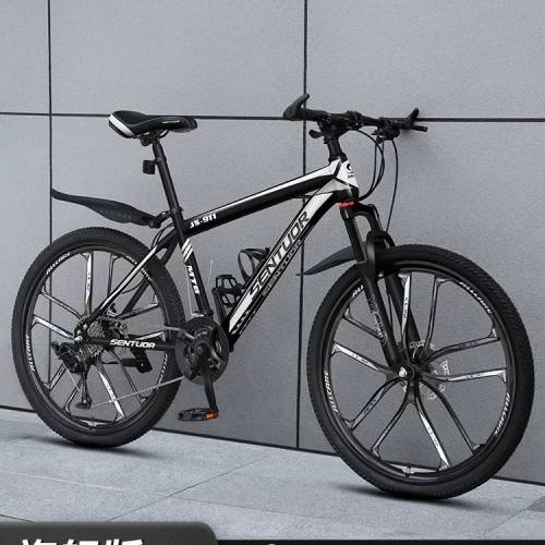 21速十刀輪單車 Bicycle