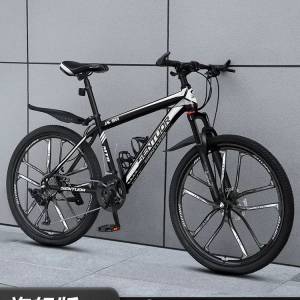 21速十刀輪單車 Bicycle