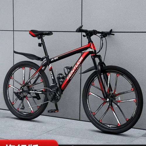 21速十刀輪單車 Bicycle