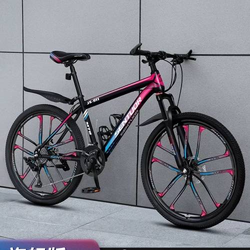 21速十刀輪單車 Bicycle