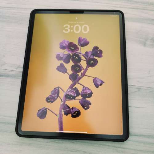 iPad Pro 12.9 吋 (第 4 代) Wi-Fi + 流動網絡型號 256GB 太空灰