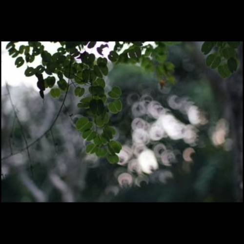 七工匠55mm f1.4 第二代 Sony E Mount