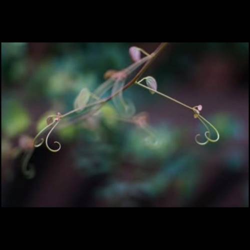 七工匠55mm f1.4 第二代 Sony E Mount