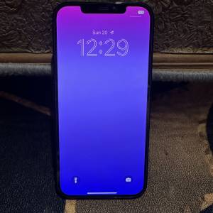 iPhone 12 Pro Max 256GB 港行