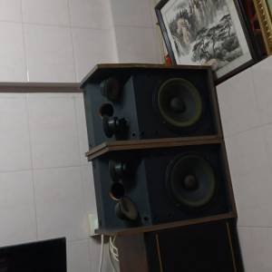 經典綠邊單元Bose 301，年代以久有歲月箱體一般，聲音吾錯，有面網，可試取！售$600