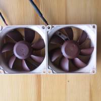 (新淨) Noctua NF-R8 8cm 散熱風扇 x 2把價錢