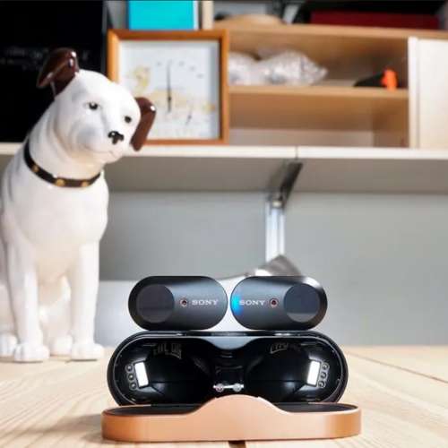 Sony WF-1000XM3 無線藍牙降噪耳機 Wireless Earphone