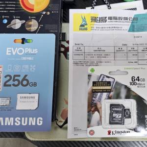 Samsung EVO Plus 256GB + Kingston 64GB