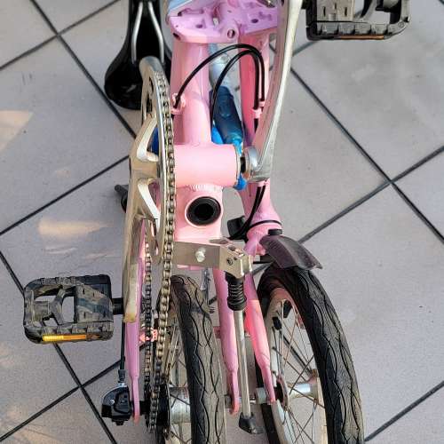 Dahon 大行單車