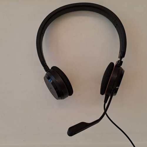 Jabra Evolve 20 - USB On-ear headphones (Jabra Evolve 20 - USB 貼耳式雙耳耳機)