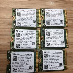 SK BC711 256GB NVMe SSD (GEN3) (全新DELL機拆出) (有需要可加送 2230轉2280支架)