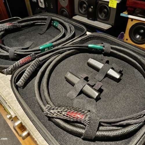 AudioQuest Robin Hood Zero 全頻版本