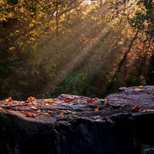 Olympus大43鏡頭三支14-45及14-54mm 附轉M43 AF接環，啱OM-D E-M1，PEN E-PL9