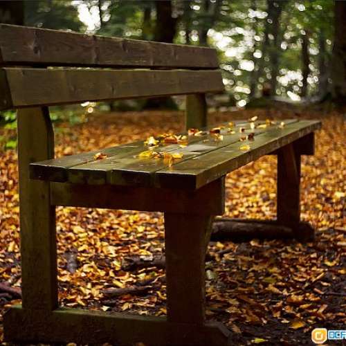 Meyer Gorlitz Trioplan 50/2.9(EXA)罕有戰前(1945)冇Optik版公認泡泡最豐富，圈中...